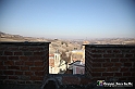 VBS_9630 - La Morra, Barolo, Grinzane Cavour, Pollenzo